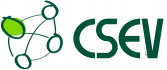 CSEV (Centro Superior para la Enseñanza Virtual)