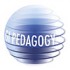 GI-Pedagogy: Innovative Pedagogies for Teaching with Geoinformation